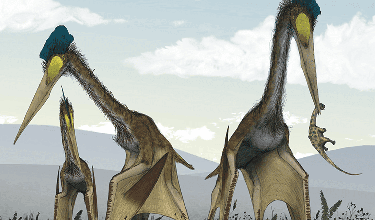 67 Million Years Ago Flying Reptiles the Size of Fighter Jets Soared Through the Air