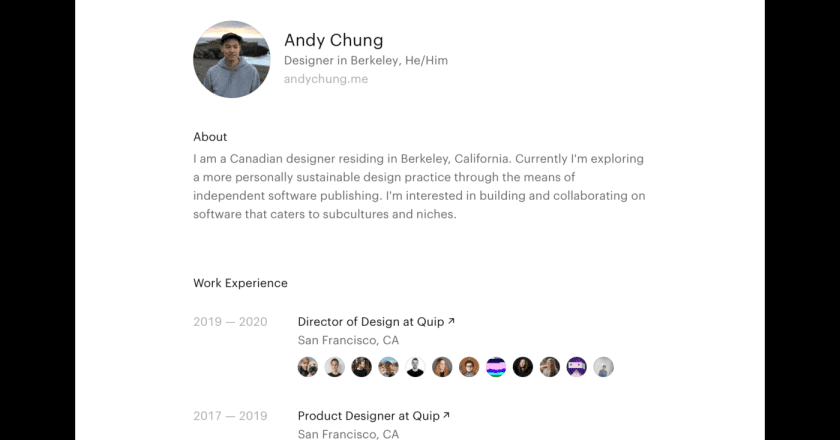 CV — Mindful Professional Profiles